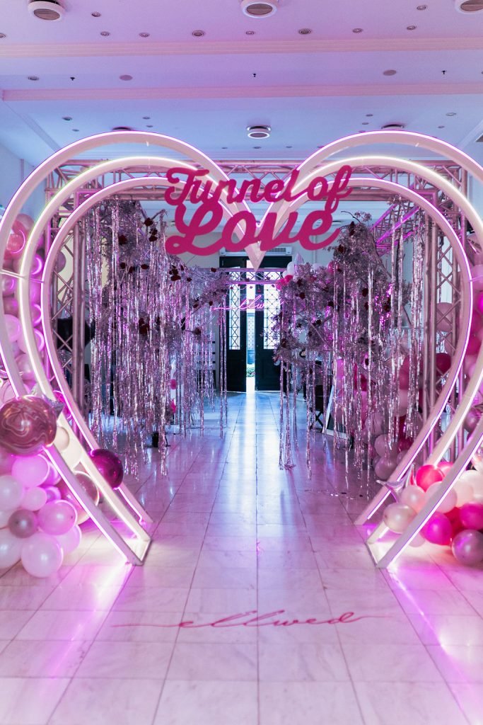 Ellwed Party Tunnel of Love