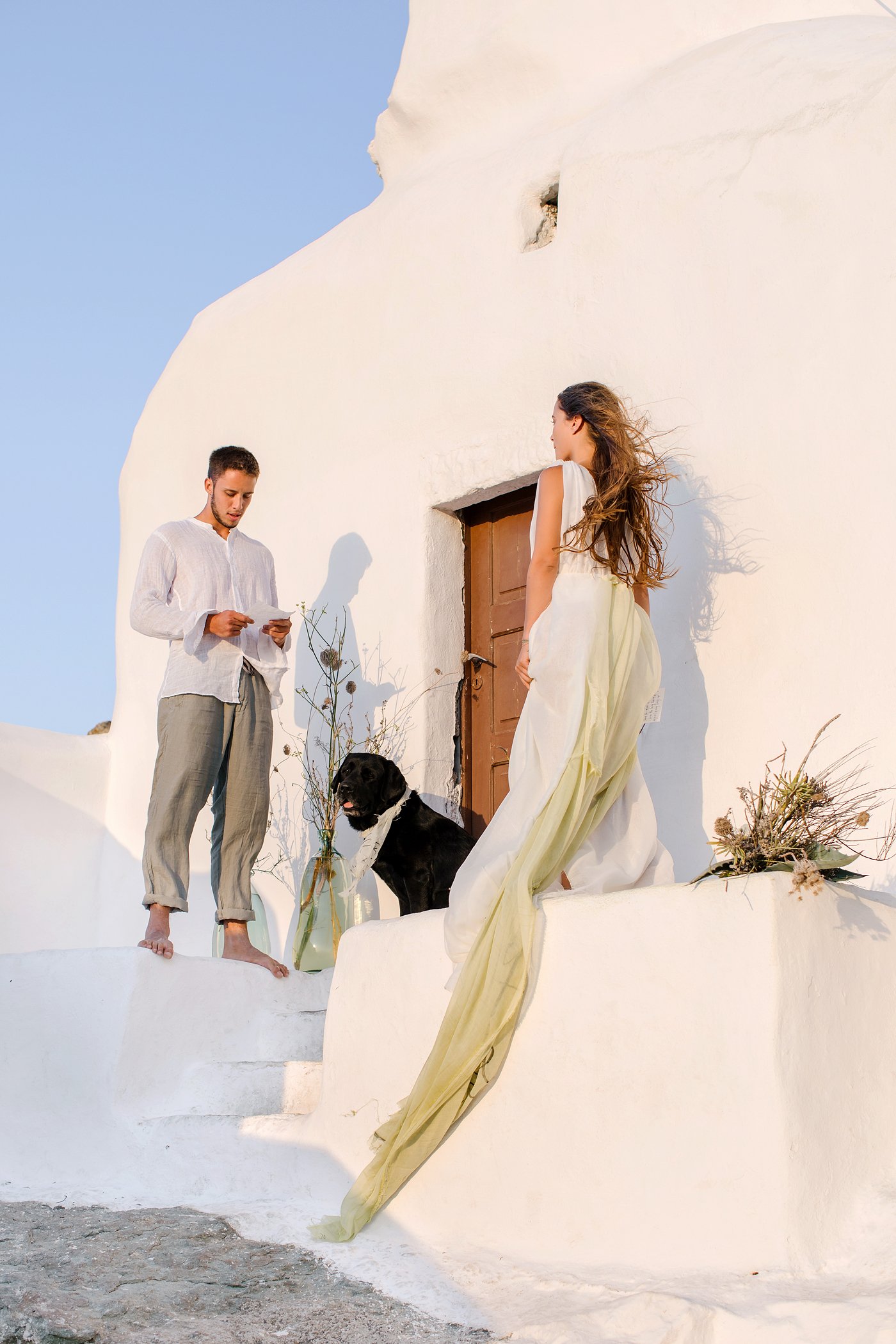 reasons to include your dog in your wedding day