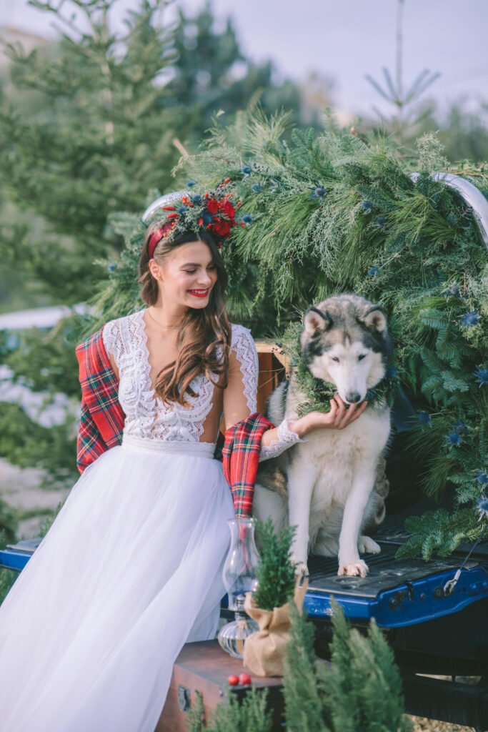 Bride on the pickup truck with a Huskey dog